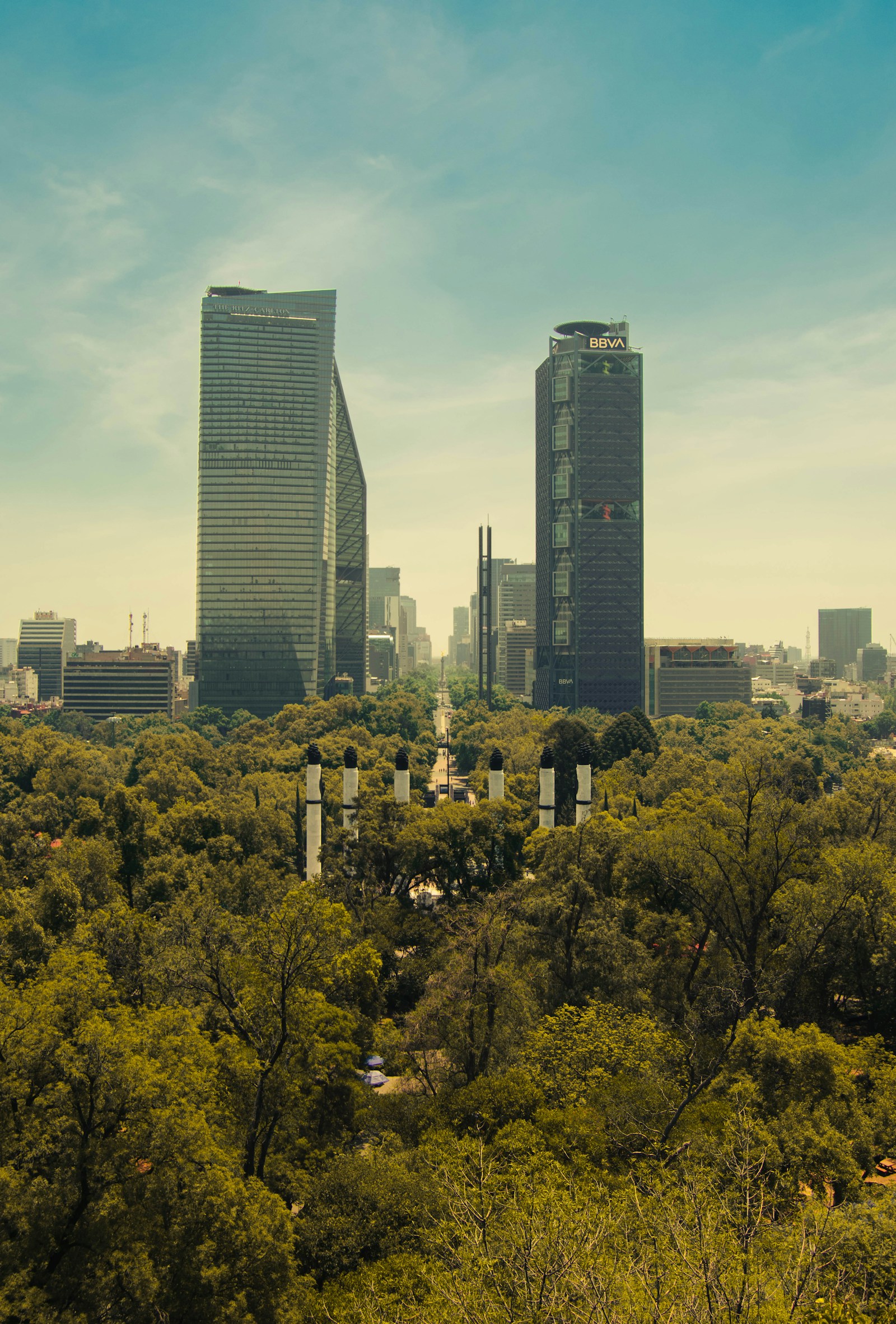 Residential high-rises in Mexico City surrounded by dense green forest